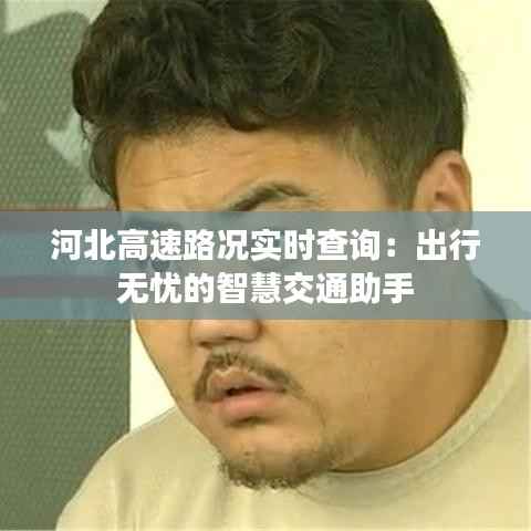 河北高速路况实时查询：出行无忧的智慧交通助手