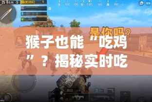 猴子也能“吃鸡”？揭秘实时吃鸡游戏中的猴子玩家