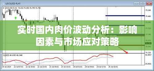 实时国内肉价波动分析：影响因素与市场应对策略