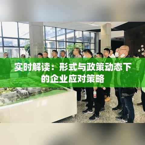 实时解读：形式与政策动态下的企业应对策略