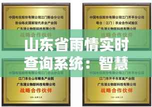 山东省雨情实时查询系统：智慧农业的守护神