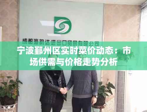 宁波鄞州区实时菜价动态：市场供需与价格走势分析