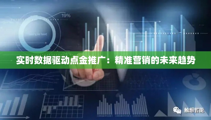实时数据驱动点金推广：精准营销的未来趋势
