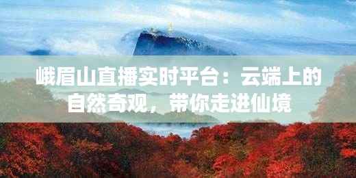 峨眉山直播实时平台：云端上的自然奇观，带你走进仙境