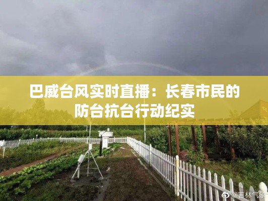 巴威台风实时直播：长春市民的防台抗台行动纪实