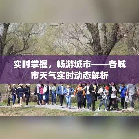 实时掌握，畅游城市——各城市天气实时动态解析