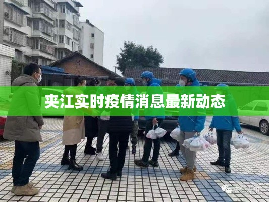 夹江实时疫情消息最新动态