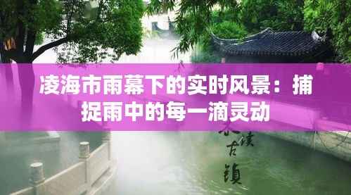 凌海市雨幕下的实时风景：捕捉雨中的每一滴灵动