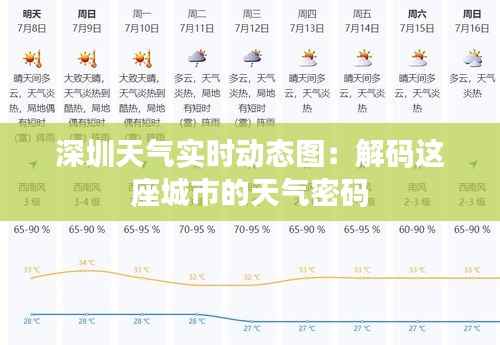 深圳天气实时动态图：解码这座城市的天气密码