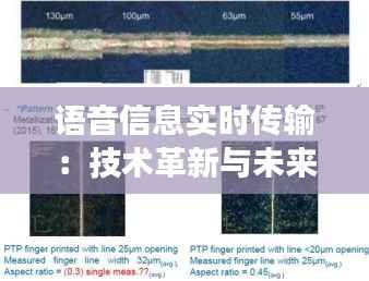 语音信息实时传输：技术革新与未来展望