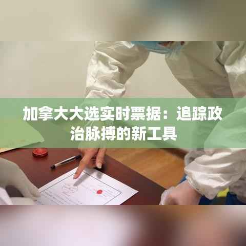 加拿大大选实时票据：追踪政治脉搏的新工具