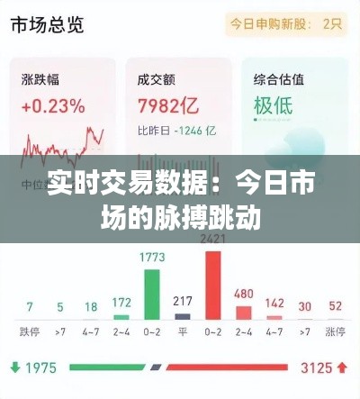 实时交易数据:今日市场的脉搏跳动