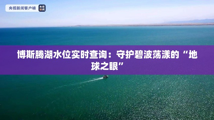 虚张声势 第5页