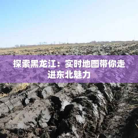 探索黑龙江：实时地图带你走进东北魅力