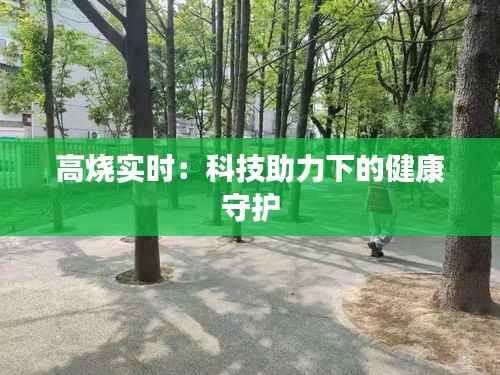 高烧实时：科技助力下的健康守护