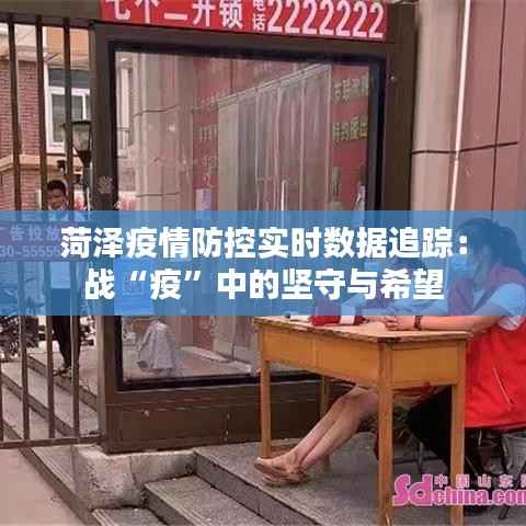 菏泽疫情防控实时数据追踪：战“疫”中的坚守与希望