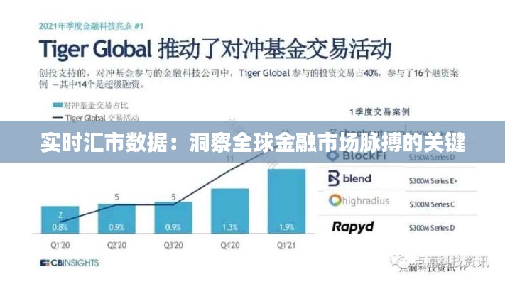 实时汇市数据：洞察全球金融市场脉搏的关键
