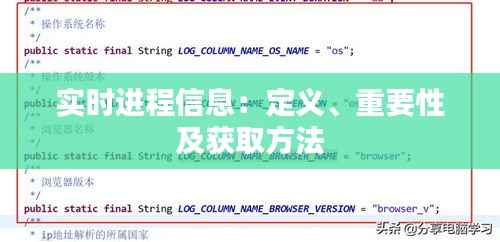 实时进程信息：定义、重要性及获取方法