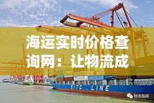 海运实时价格查询网：让物流成本透明化，助力企业高效决策