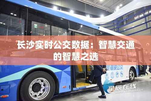 长沙实时公交数据：智慧交通的智慧之选