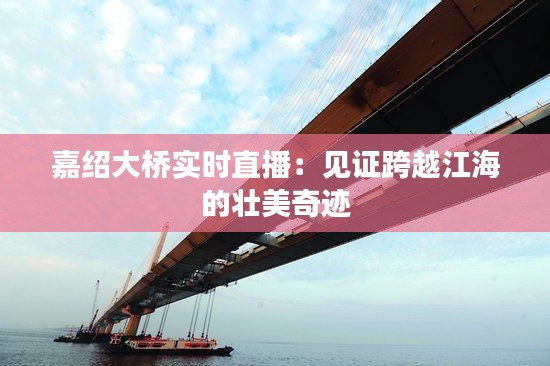 嘉绍大桥实时直播：见证跨越江海的壮美奇迹