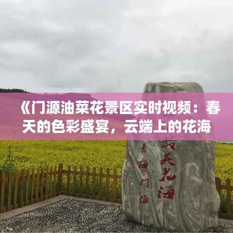 《门源油菜花景区实时视频：春天的色彩盛宴，云端上的花海奇观》