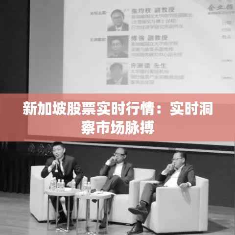 新加坡股票实时行情：实时洞察市场脉搏