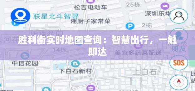 胜利街实时地图查询：智慧出行，一触即达
