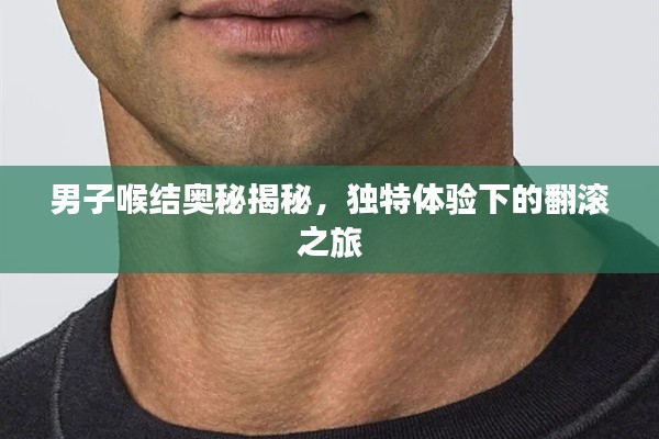 男子喉结奥秘揭秘，独特体验下的翻滚之旅