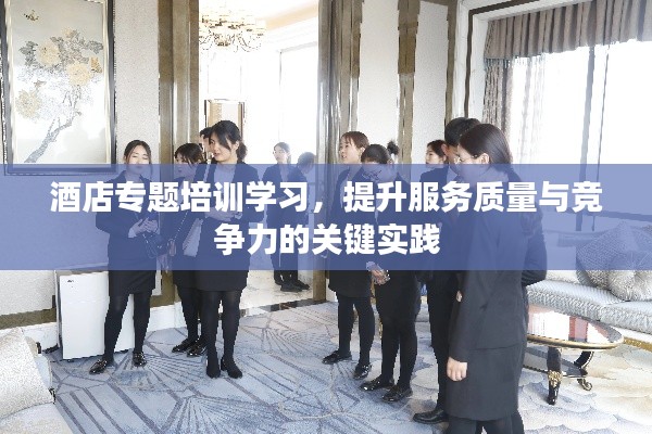 酒店专题培训学习，提升服务质量与竞争力的关键实践