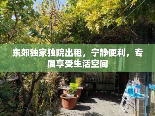 东郊独家独院出租，宁静便利，专属享受生活空间