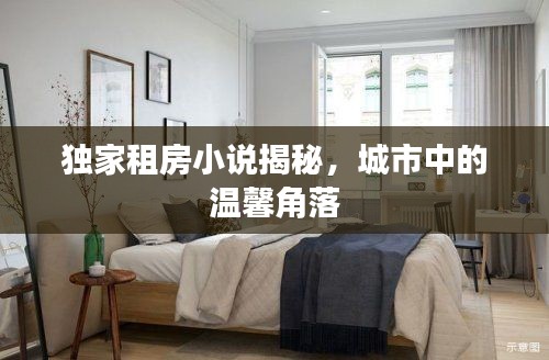 独家租房小说揭秘，城市中的温馨角落