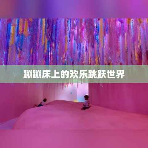 蹦蹦床上的欢乐跳跃世界