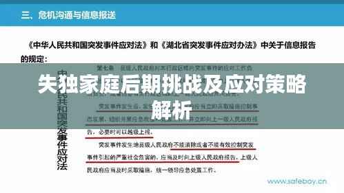 失独家庭后期挑战及应对策略解析