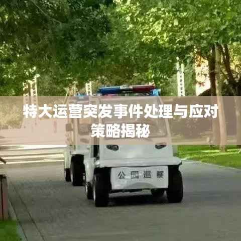 特大运营突发事件处理与应对策略揭秘