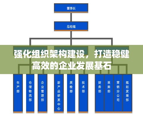 强化组织架构建设，打造稳健高效的企业发展基石