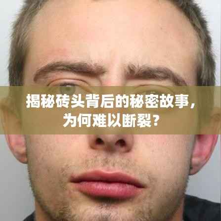 揭秘砖头背后的秘密故事，为何难以断裂？