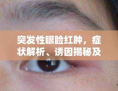 高抬贵手 第6页