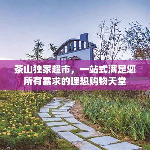 茶山独家超市，一站式满足您所有需求的理想购物天堂