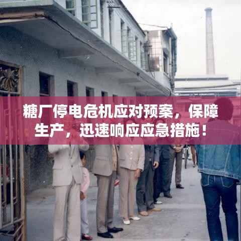 雍荣闲雅 第4页