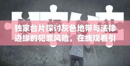 独家台片探讨灰色地带与法律边缘的犯罪风险，在线观看引深思