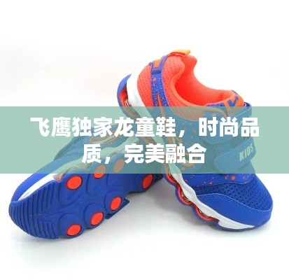 飞鹰独家龙童鞋，时尚品质，完美融合