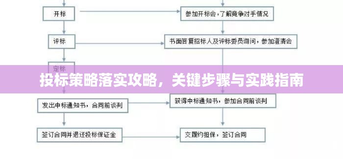 投标策略落实攻略，关键步骤与实践指南