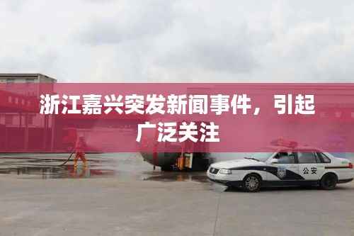 发硎新试 第4页