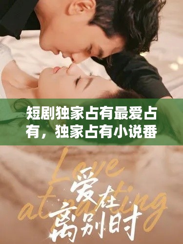 短剧独家占有最爱占有，独家占有小说番外 