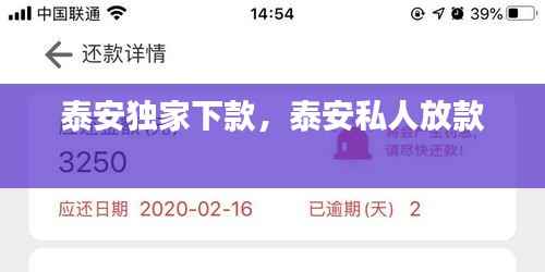 泰安独家下款，泰安私人放款 