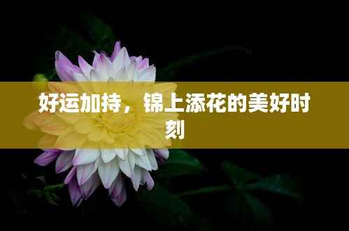 好运加持，锦上添花的美好时刻