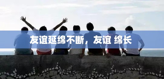 友谊延绵不断，友谊 绵长 