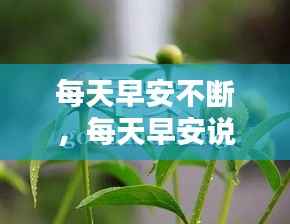 每天早安不断，每天早安说说心情短语 