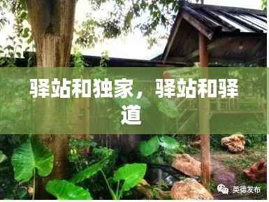 驿站和独家，驿站和驿道 